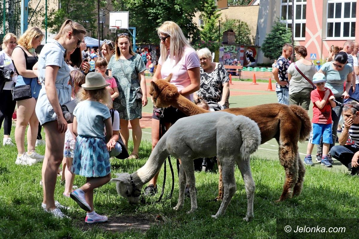 Jelenia Góra: Rodzinny festyn w Dwójce