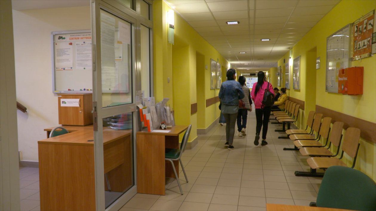Jelenia Góra: Oferta dla pracodawców i osób bezrobotnych