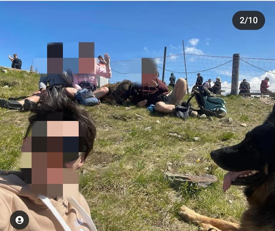 Karkonosze: Siatki dla nich to za mało?
