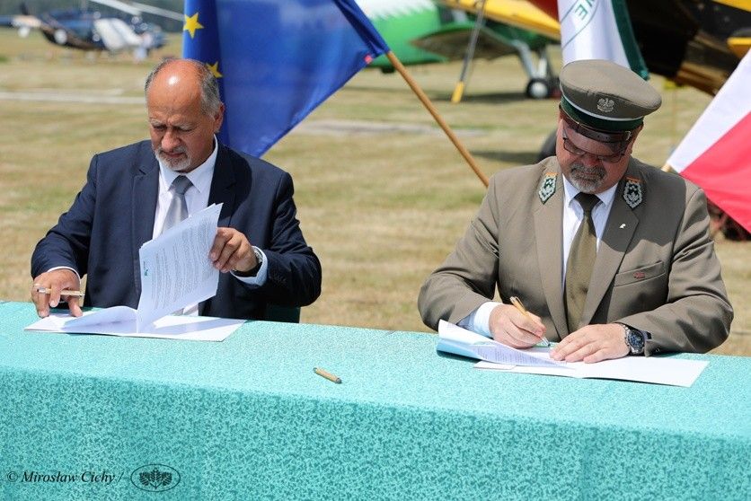 Region: Więcej na ochronę lasów