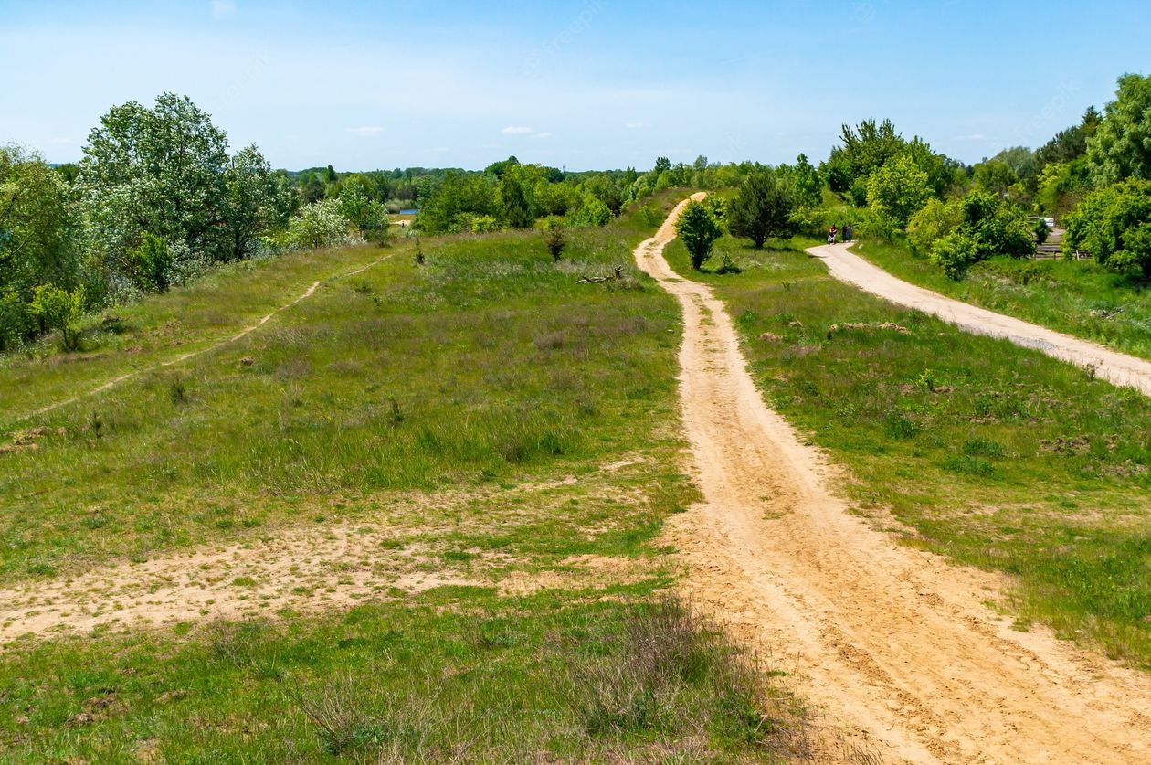 Kraj: Dzień Chodzenia do Pracy