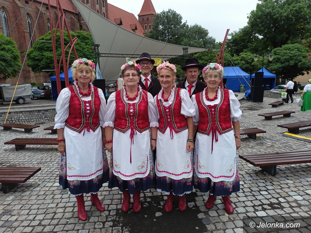 Polska: Nagroda dla Sokolika
