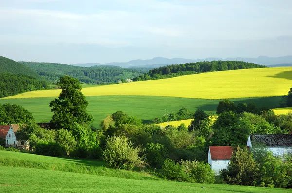 Kraj: Dzień Męczeństwa Wsi Polskiej