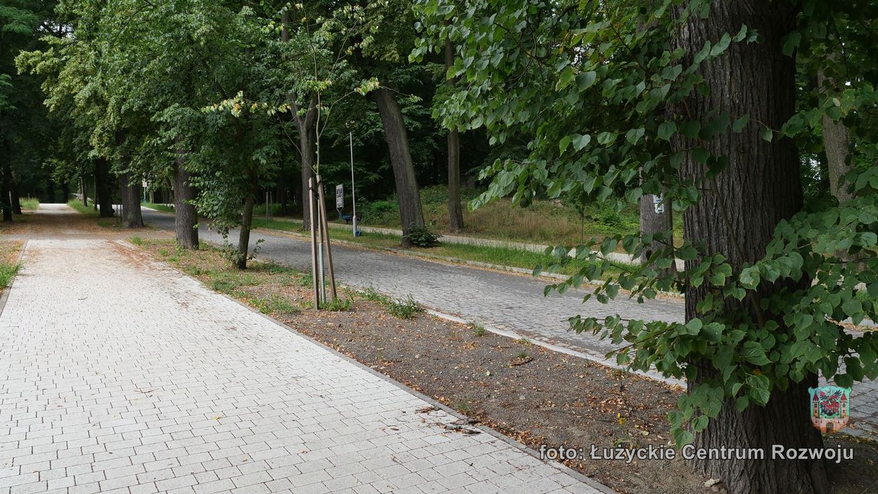 Lubań: Park już po remoncie