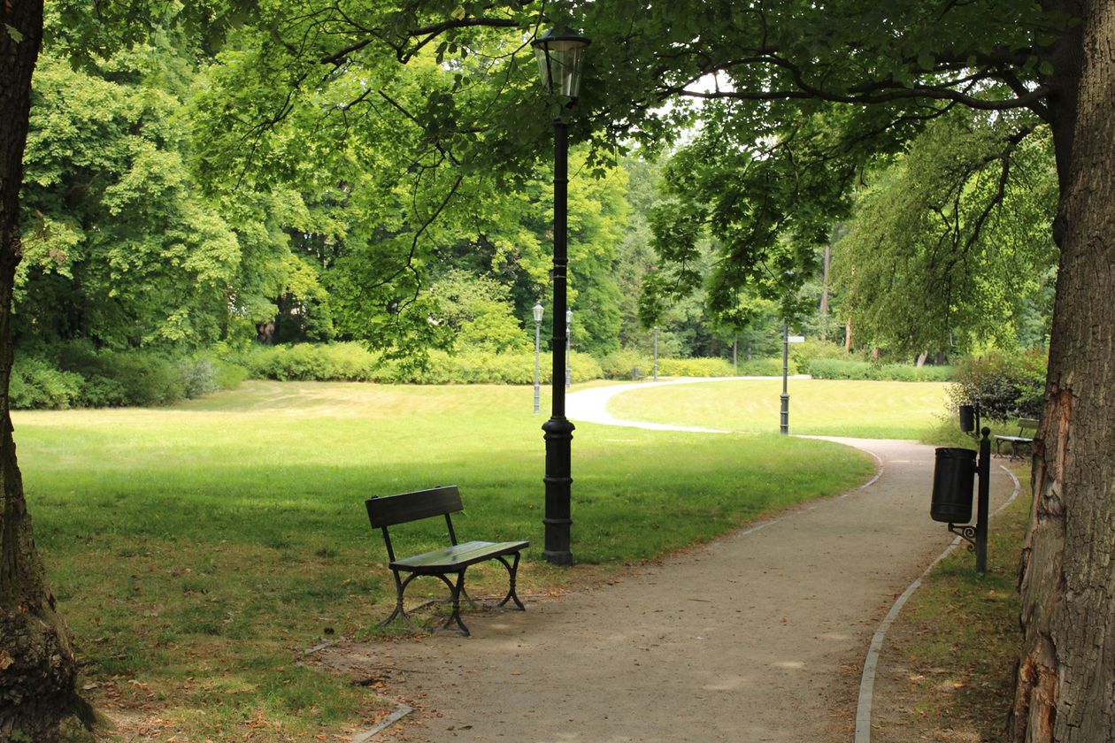 Jelenia Góra/Cieplice: Rośliny cieplickich parków