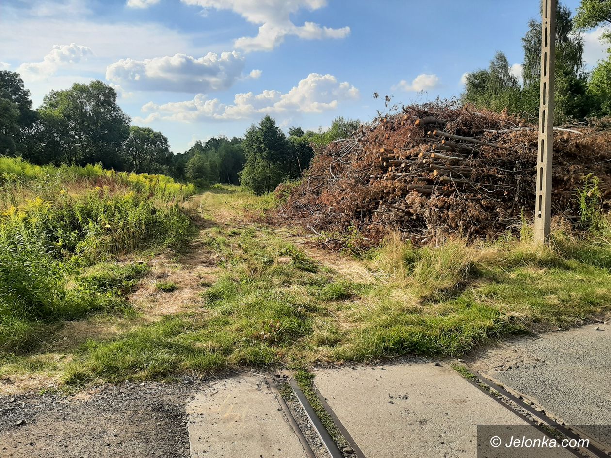 Polska: Rewitalizacja linii 308