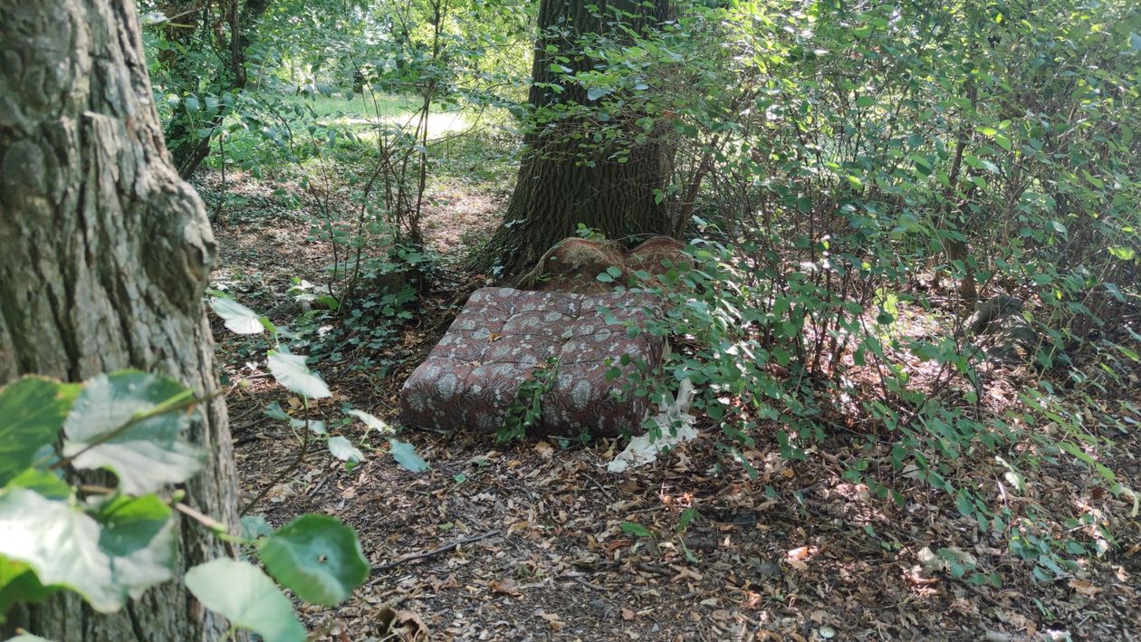 Bolków: Grasują chuligani