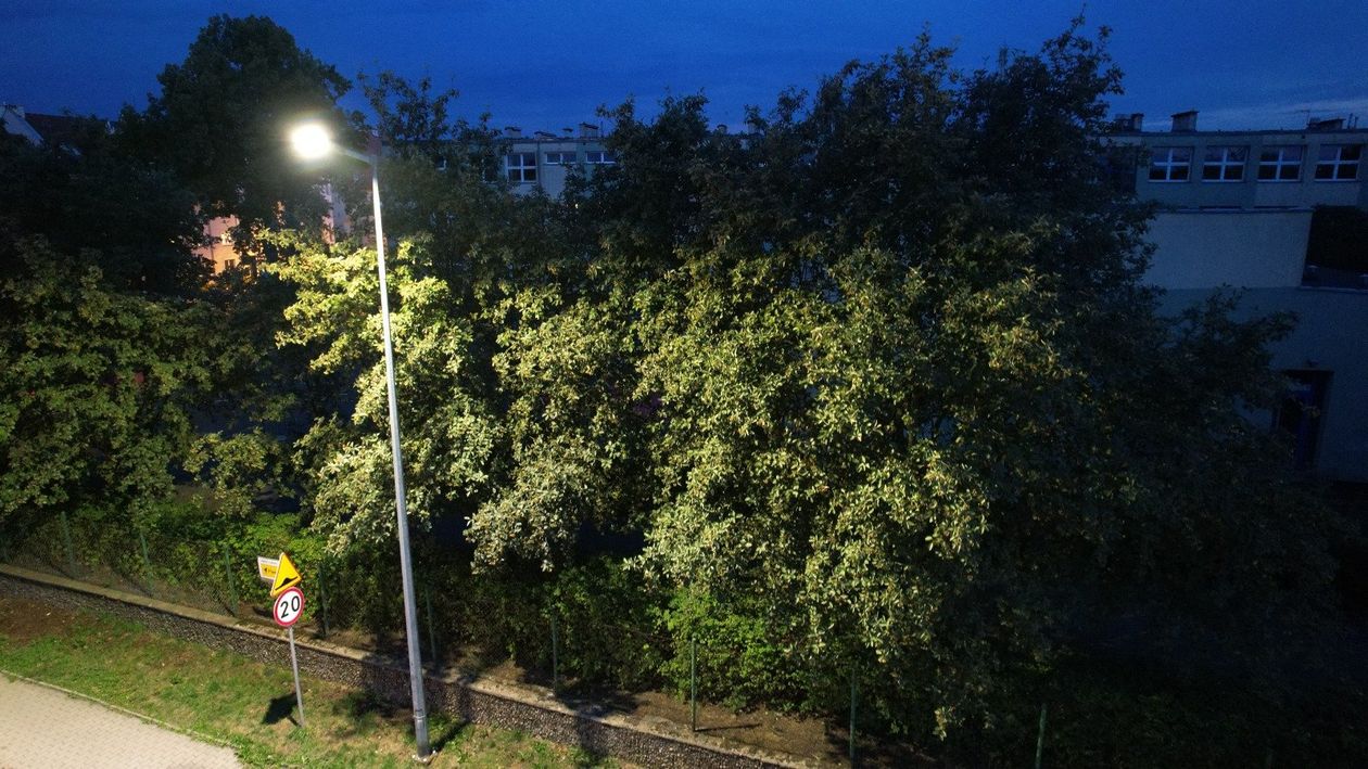 Lubań: Wymiana oświetlenia