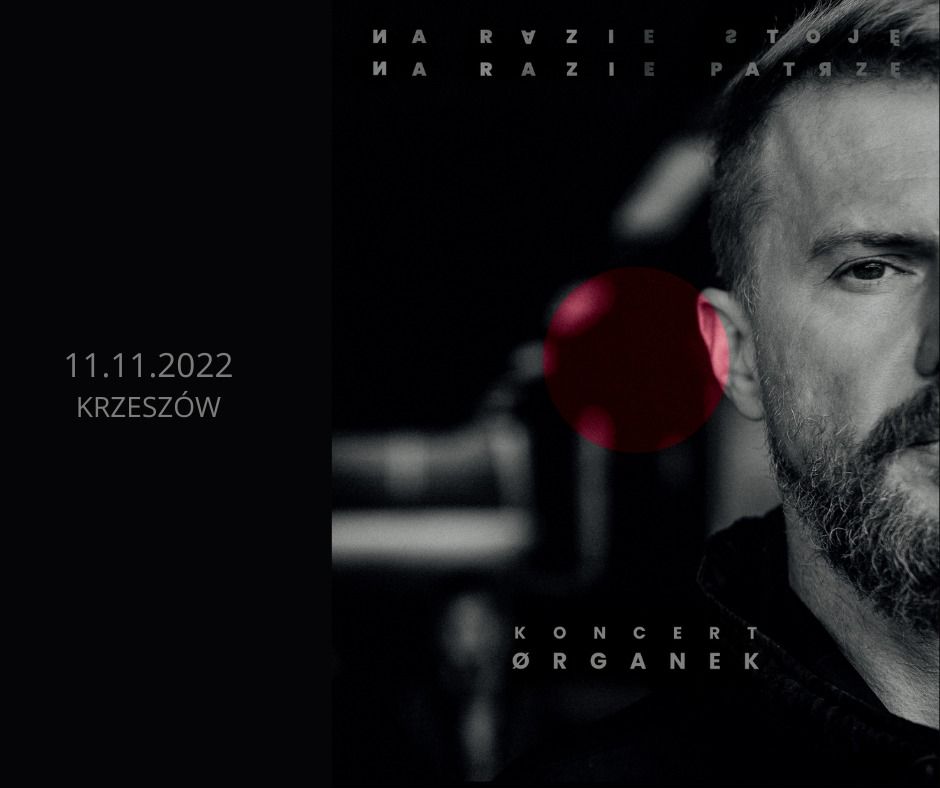 Krzeszów: Organek  w Krzeszowie