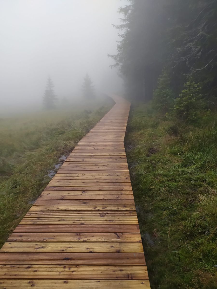Region: Kładki wymienione, szlak otwarty