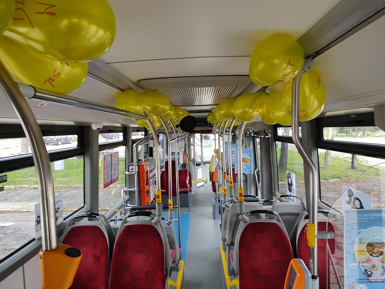 Jelenia Góra: Hybryda z niespodzianką