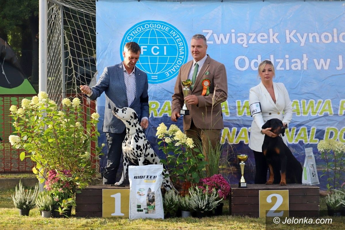 Jelenia Góra: Jubileuszowa wystawa psów rasowych