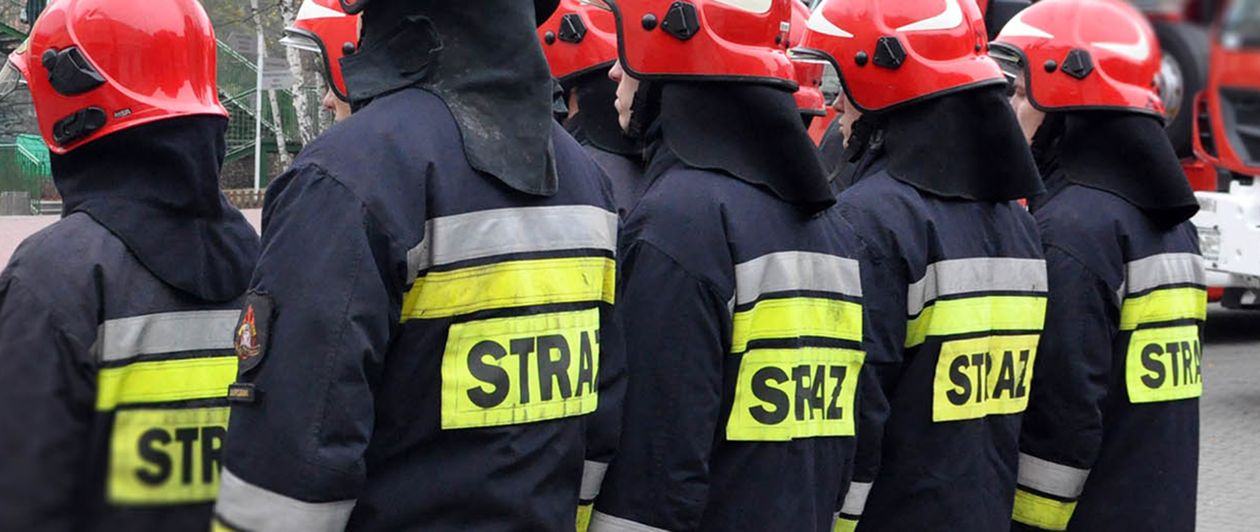 Jelenia Góra: Osy w szkole