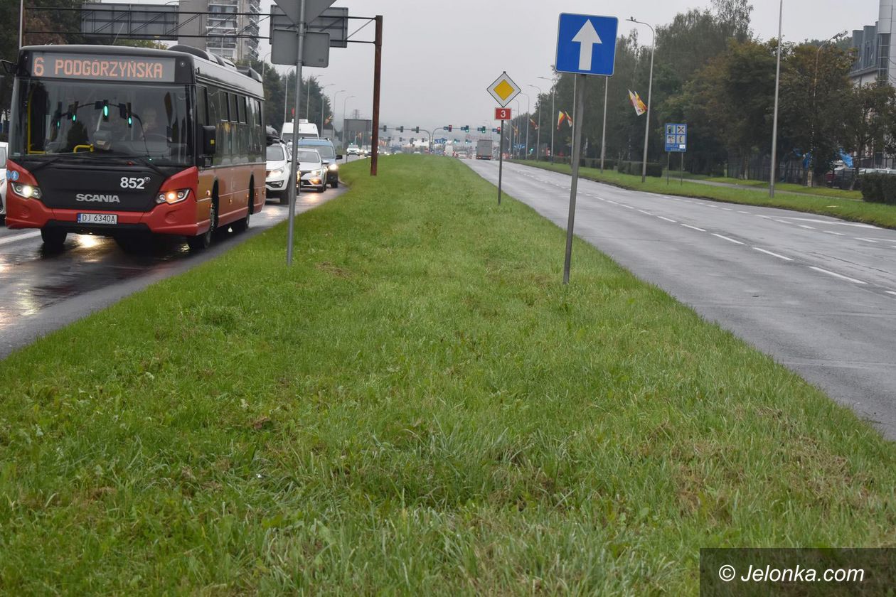 Jelenia Góra: Chaszcze już wykoszone