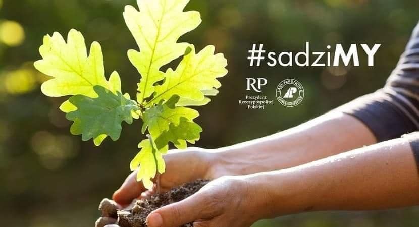 Lwówek Śląski: Akcja #sadziMy