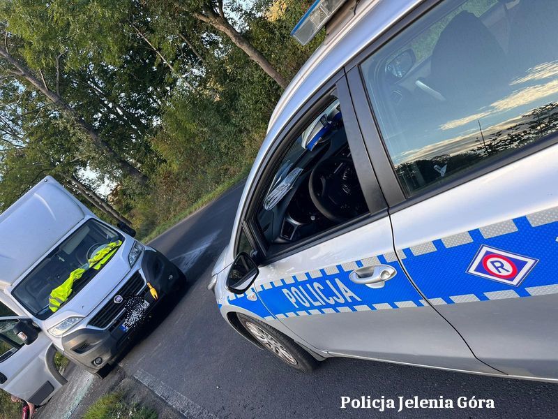 Jelenia Góra: Ukradli, zniszczyli, grozili