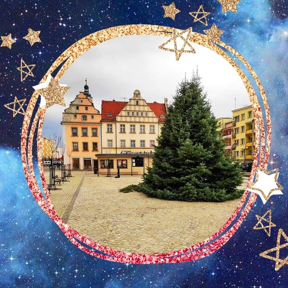 Lwówek Śląski: Potrzebne choinki