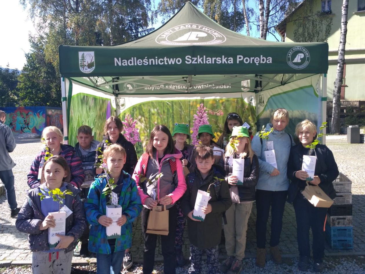 Powiat: Sadzenie drzew z leśnikami