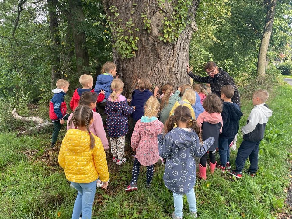 Bolesławiec: Natura leczy i edukuje