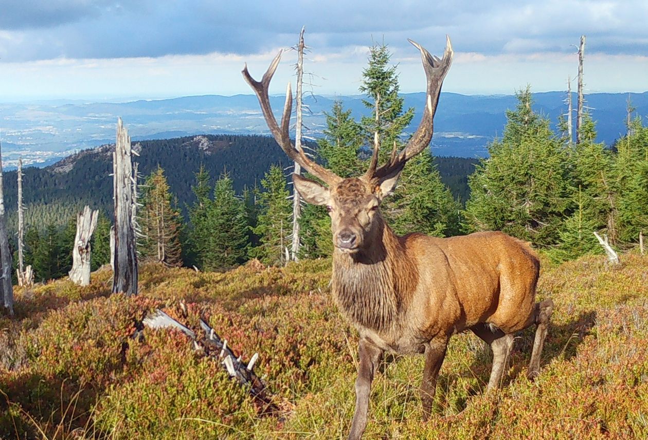 Karkonosze: Piękny i dostojny