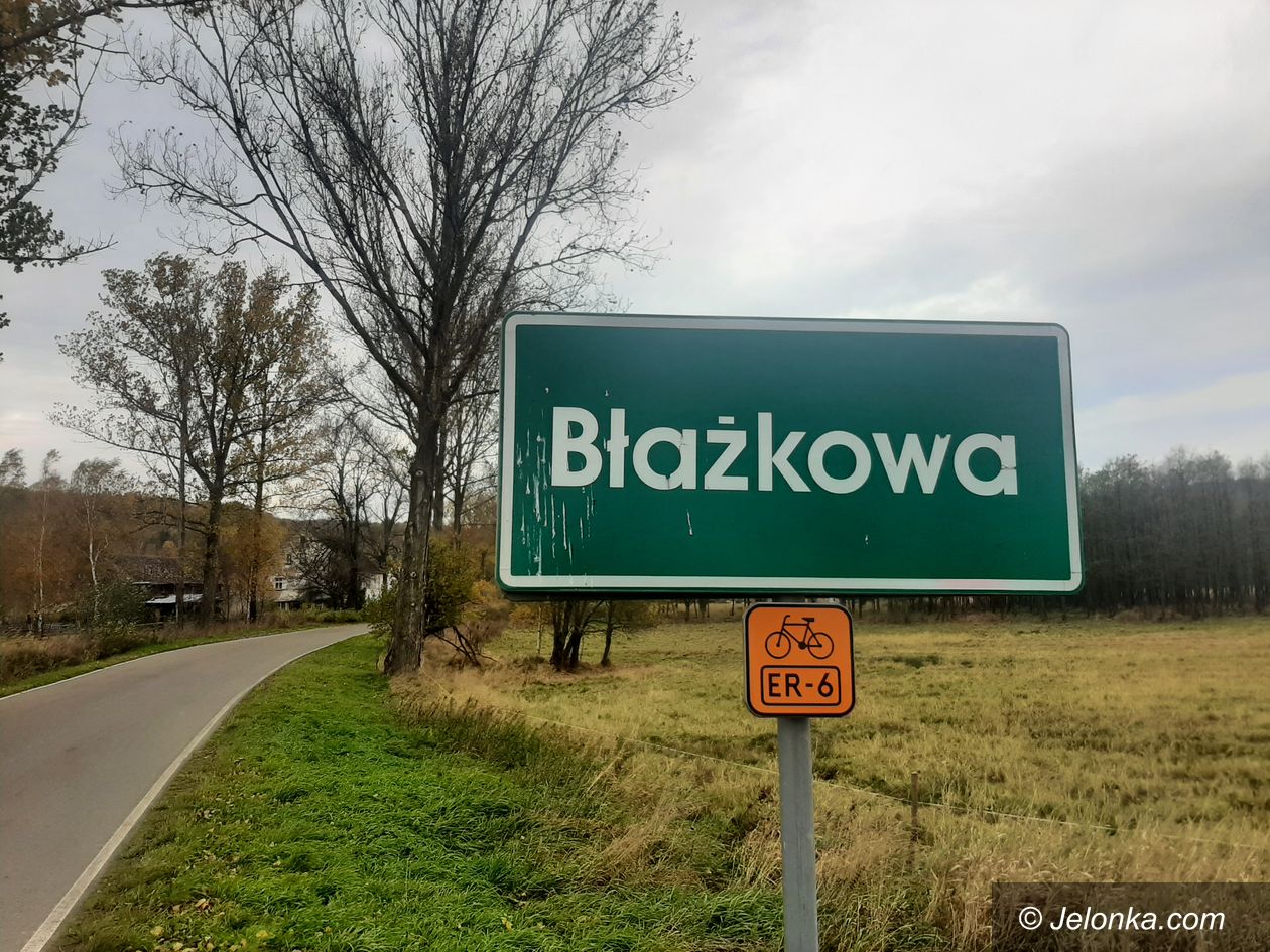 Lubawka: Wilk zagryzł psa, próbował atakować ludzi