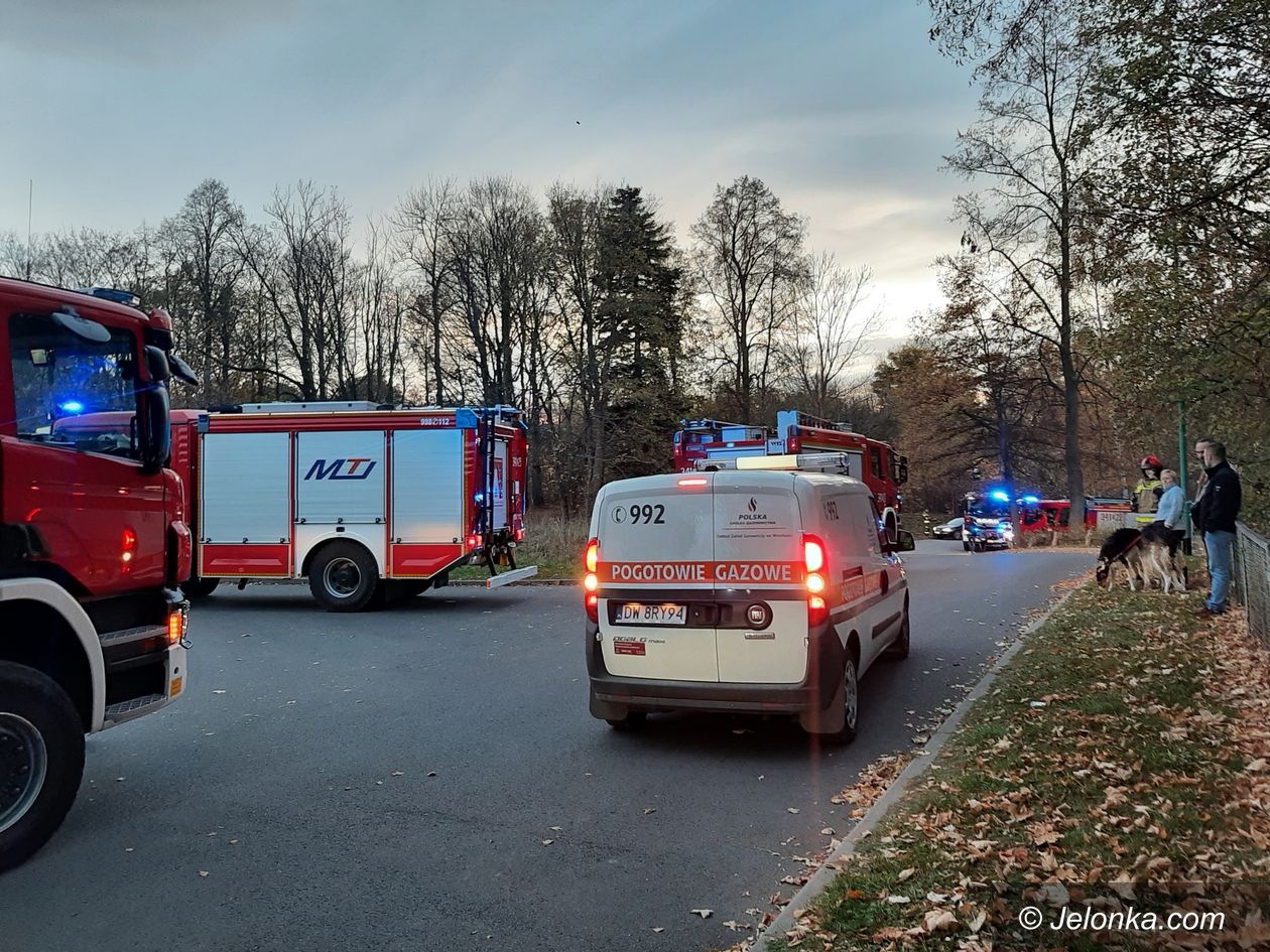 Kowary: Wycieku gazu nie było