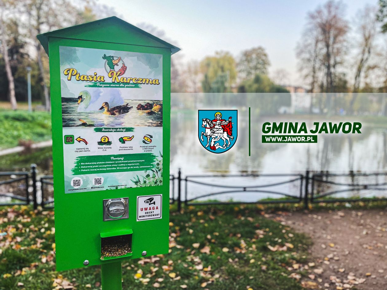Jawor: Będzie ptasi bufet