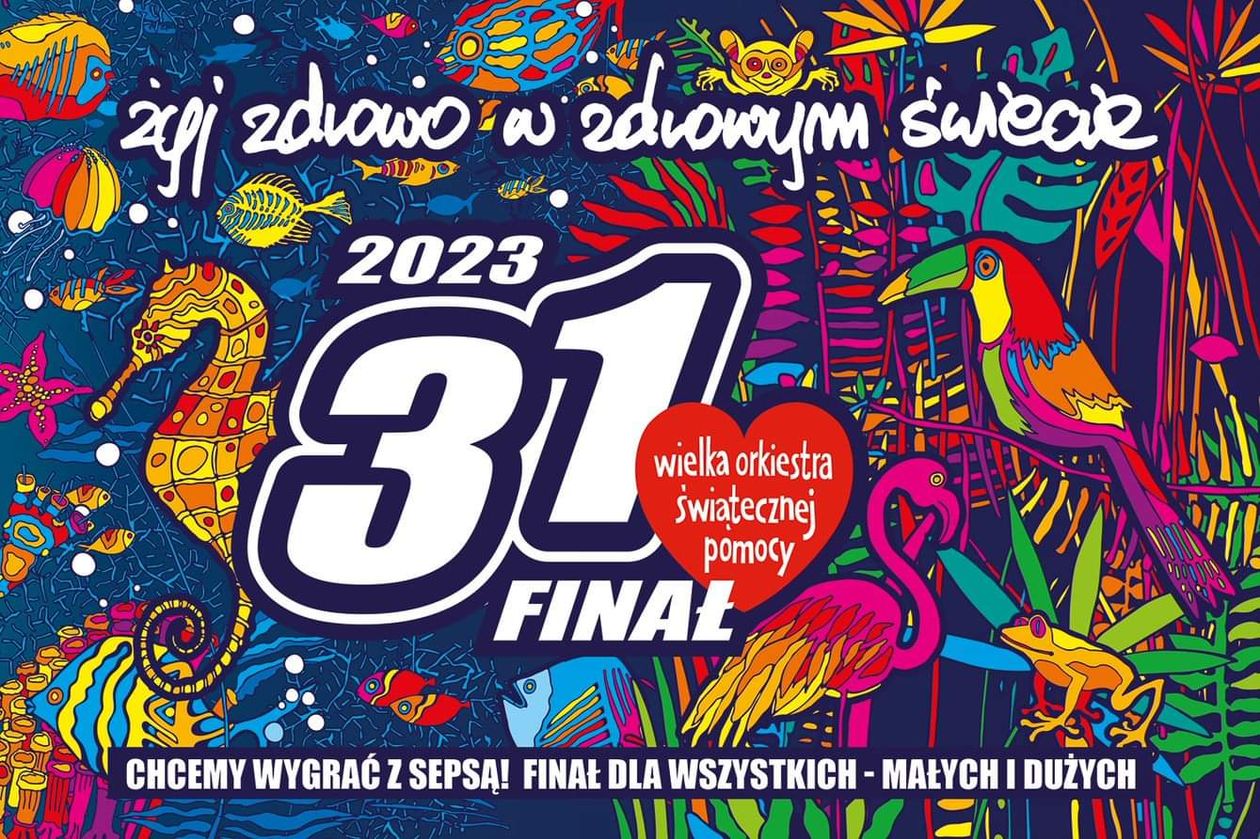 Jelenia Góra: Zostań wolontariuszem 31. Finału WOŚP