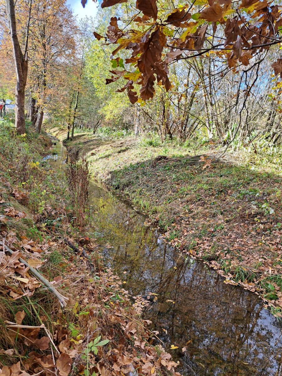 Gmina Bolków: Prace przy ciekach