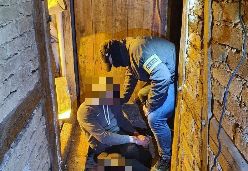 Jelenia Góra: Plantacja zlikwidowana