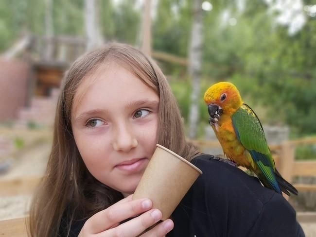 Sosnówka: Kalina potrzebuje pomocy