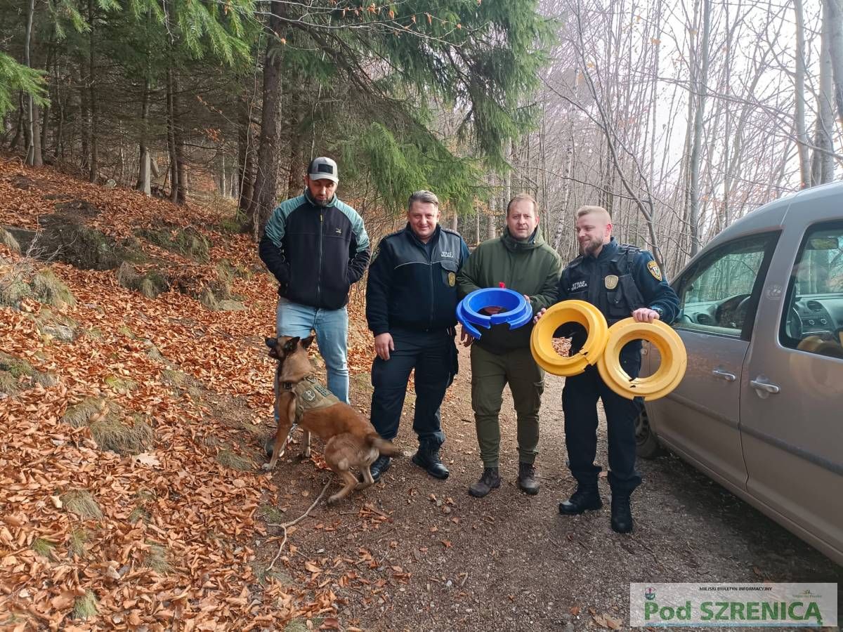 Szklarska Poręba: Uwolnili łanię od plastikowego balastu
