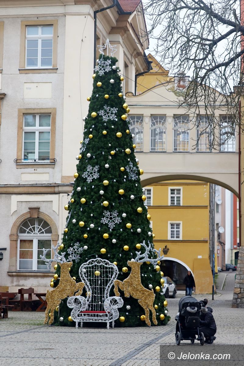 Jelenia Góra: Choinka w centrum miasta gotowa