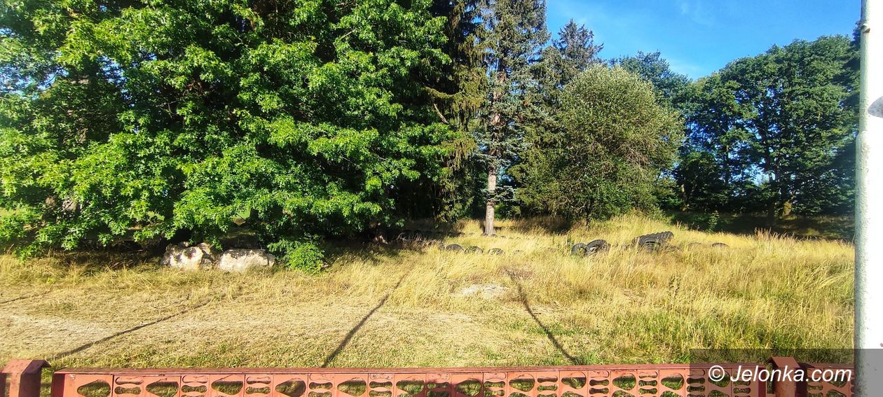 Jelenia Góra: Powstanie dirtpark przy ulicy Lubańskiej