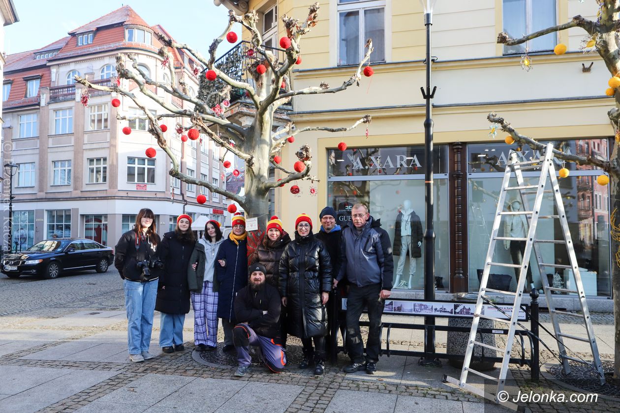 Jelenia Góra: Platany ozdobione przez Rzemiosła