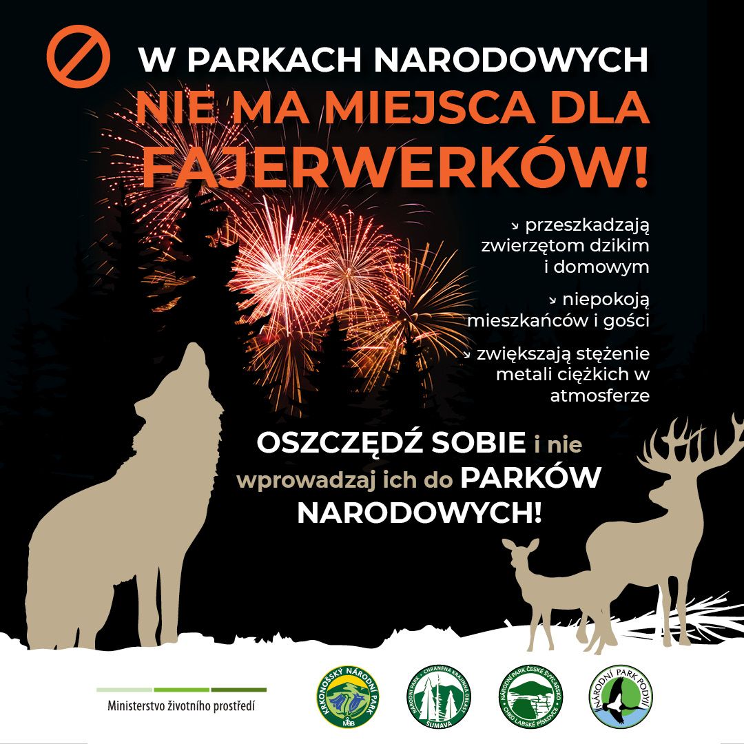 Powiat: KPN przypomina o zakazie fajerwerków