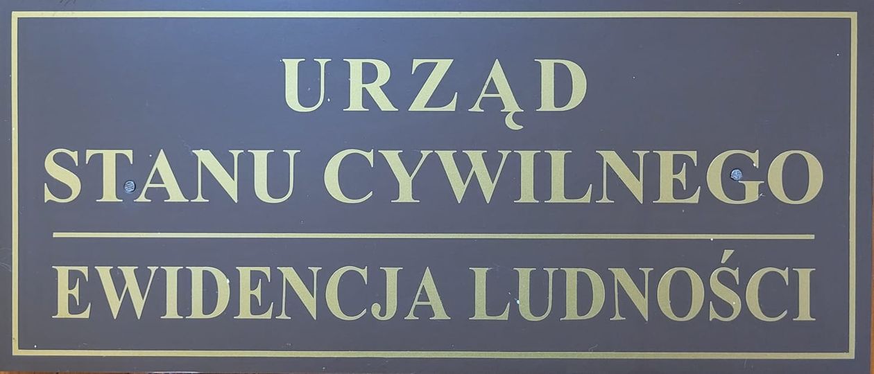 Świerzawa: Noworoczna statystyka