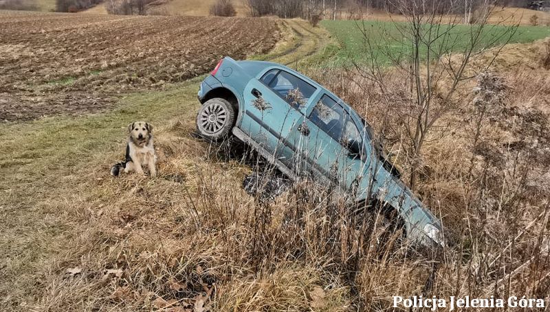 Jelenia Góra: Kierował po alkoholu