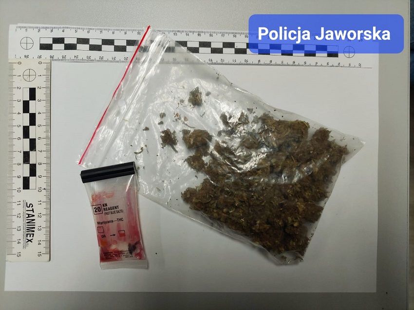 Bolków: Kierował na "zakazie"