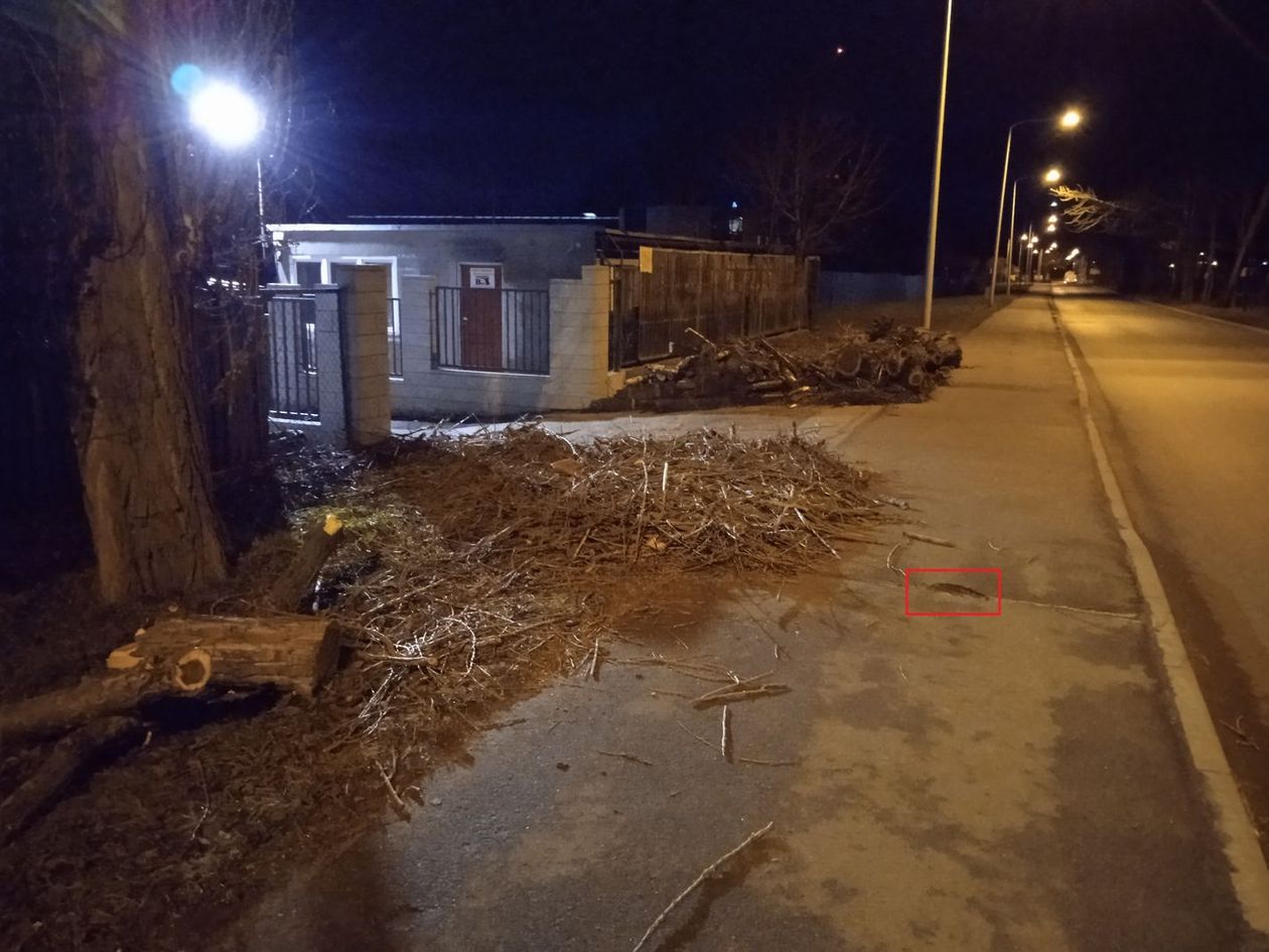 Jelenia Góra: Wycinali drzewa, uszkodzili chodnik – kiedy naprawią?