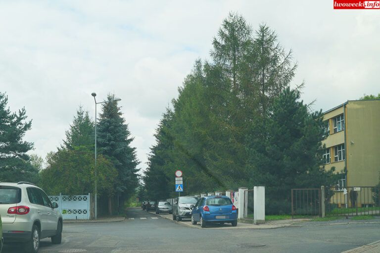 Lwówek Śląski: Ulice do przebudowy