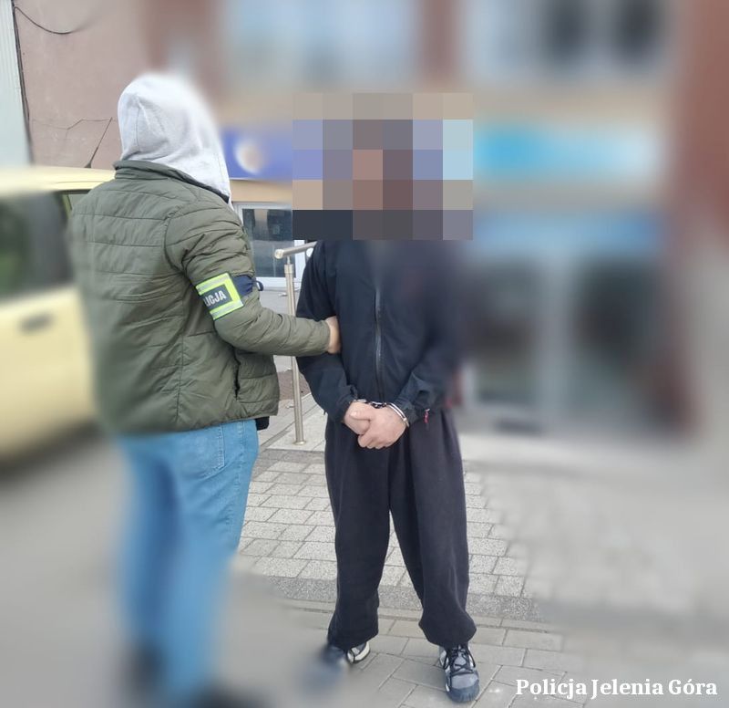 Jelenia Góra: Odpowie za włamania i nie tylko