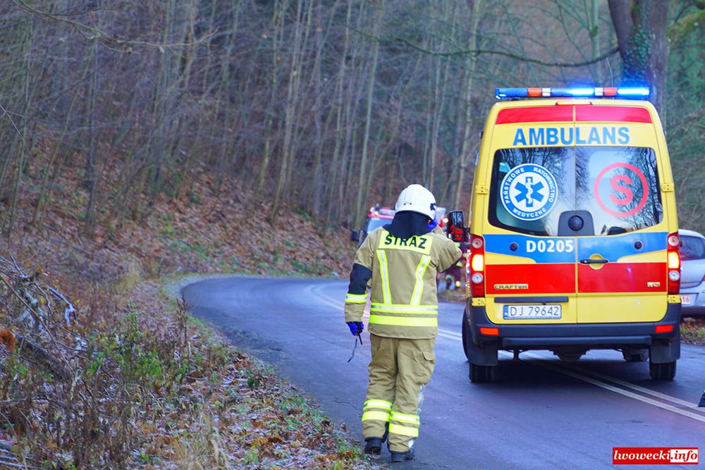 Gmina Wleń: Chevrolet wypadł z drogi