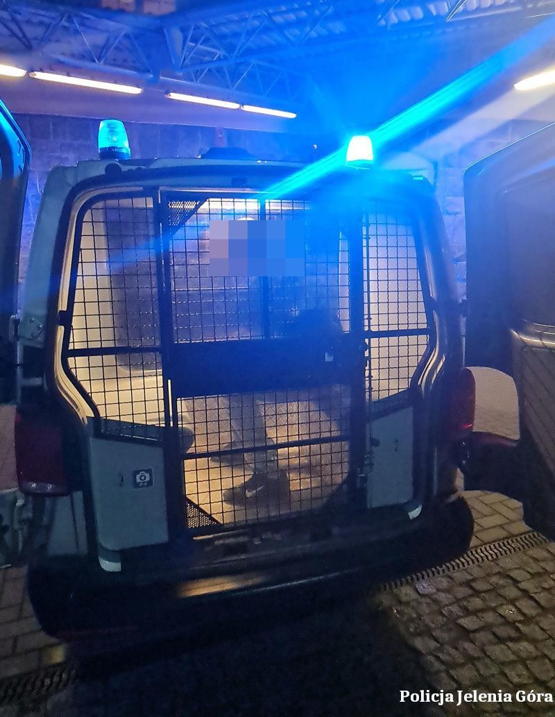 Jelenia Góra: Jechał pod wpływem i bez uprawnień