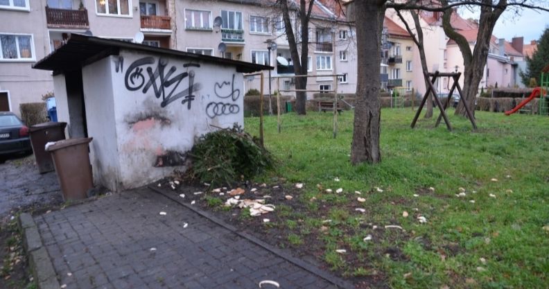 Złotoryja: Podwórka do remontu