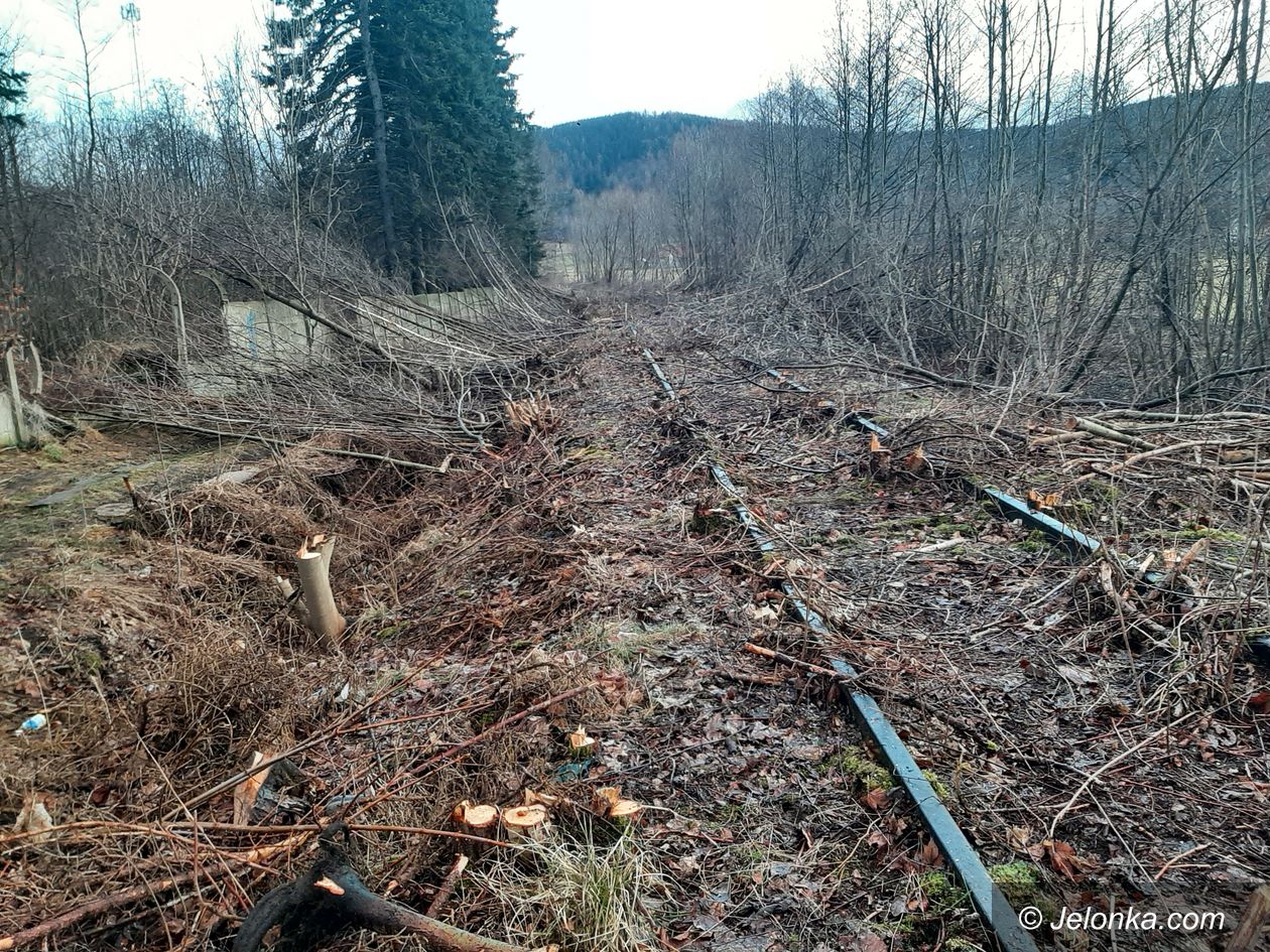 Mysłakowice/Karpacz: Prace na torowisku