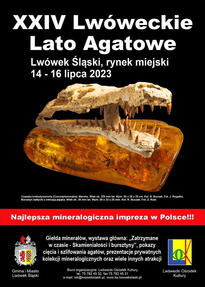 Lwówek Śląski: Zatrzymane w czasie
