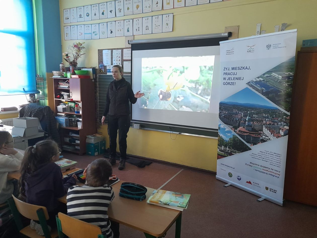 Jelenia Góra: Szkoły przyjazne pożytecznym owadom