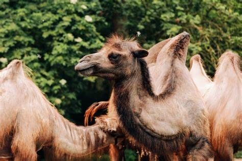 Polska: Dzień Miłośników ZOO