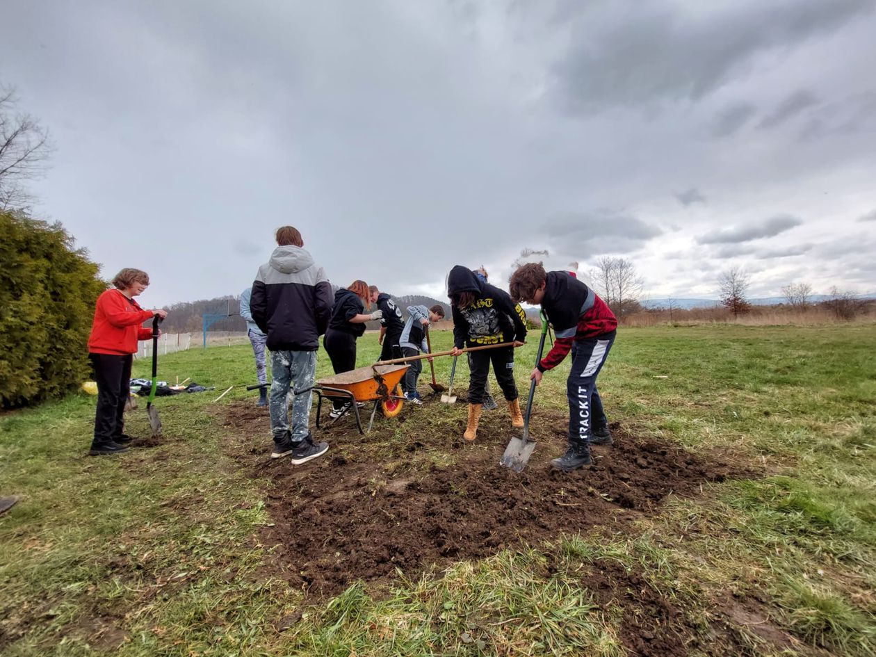 Jelenia Góra: Szkoła przyjazna trzmielom